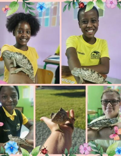 Dino Kids | Dinokeng Academic Centre | Gallery